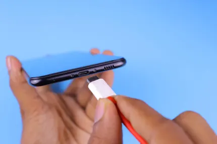 Casino Mobile Wins Aplicación móvil